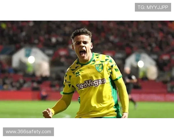 从英冠到英超沉浮诺维奇俱乐部百年坚守与复兴之路历史与信仰传承